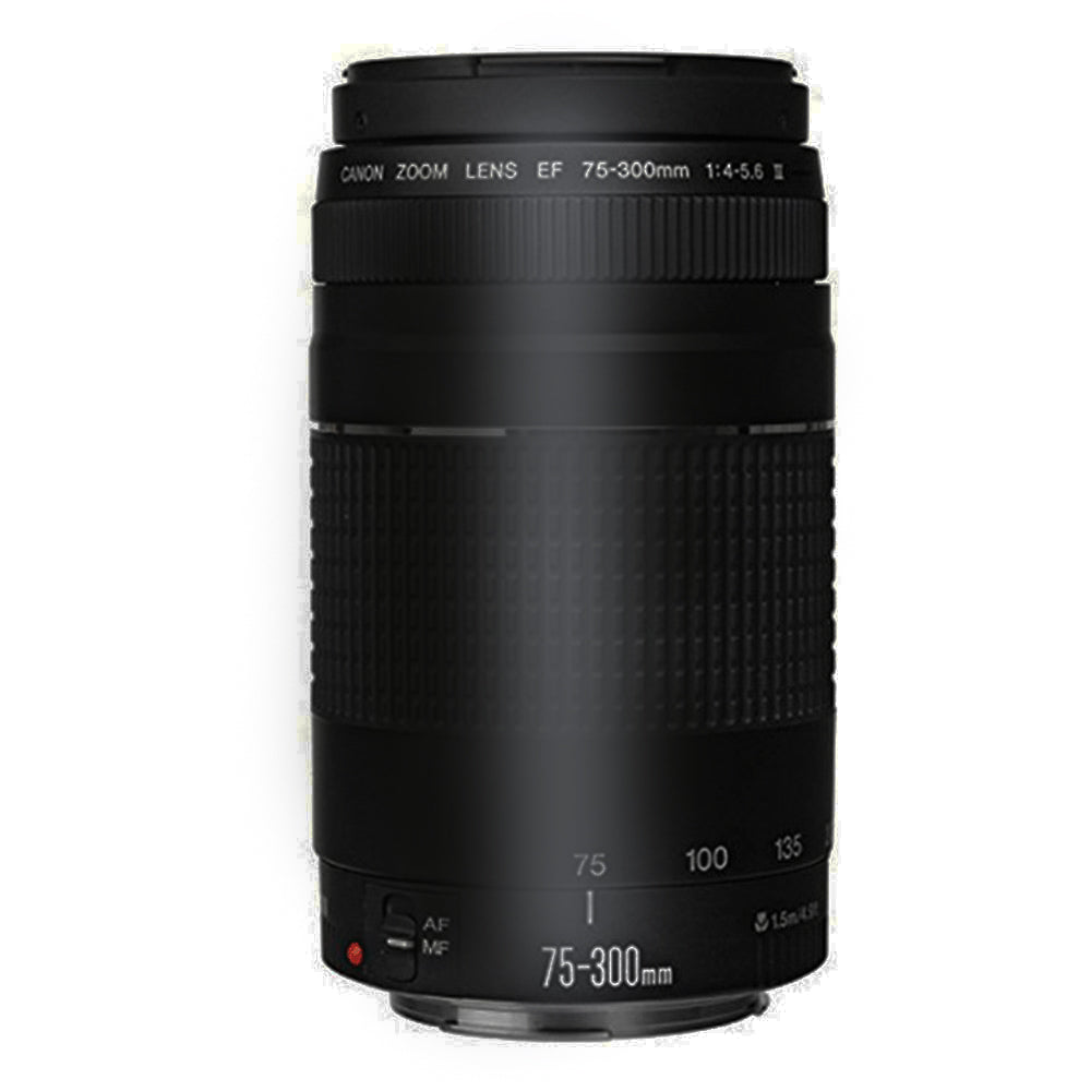 Canon EOS Rebel T100 with EF-S 18-55mm f/3.5-5.6 III Lens and EF 75-300mm f/4.0-5.6 III Lens "REFURBISHED"