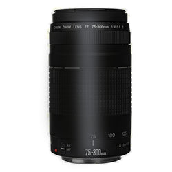 Canon EOS Rebel T100 with EF-S 18-55mm f/3.5-5.6 III Lens and EF 75-300mm f/4.0-5.6 III Lens "REFURBISHED"