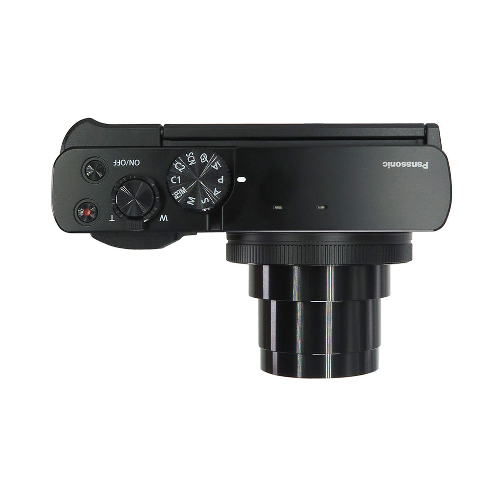 Panasonic Lumix ZS99 20.3MP 30X Optical Zoom Digital Camera (Black) Best Travel Kit