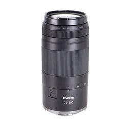Canon EOS R100 Mirrorless Camera with RF-S 18-45mm f/4.5-6.3 IS STM Lens and RF 75-300mm f/4-5.6 Lens Basic Accessory Bundle