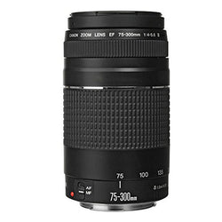 Canon EOS Rebel T7 DSLR Camera + 18-55mm Lens + 75-300mm Lens + 58mm UV Filter + Filter Kit + Telephoto&Wide Angle Lens + 16GB Memory Card + Wallet + Reader + Grip Strap + Case + Lens Pen + Cap Holder + Cleaning Kit + Tall & Mini Tripod